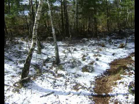 Tuszynek szkoła przetrwania- Carp Team Trójmiasto.wmv