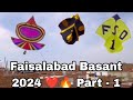 Faisalabad Basant 12 Taway Big Beauties Flight In Faisalabad Basant 2024 ️ Faizan Records