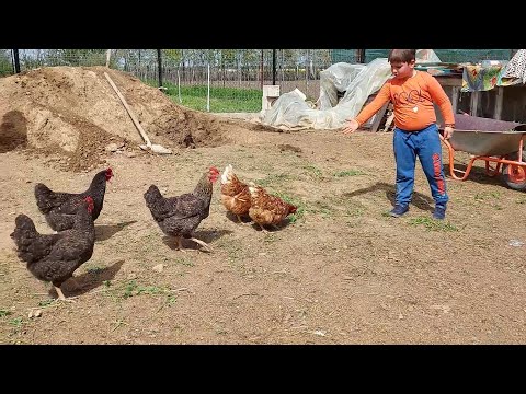 Viața la țară. O zi in Gherghița, Prahova!