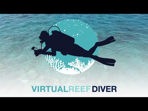 Hans Discovers - How to Play