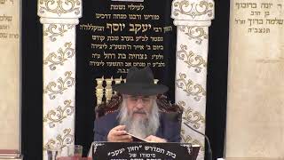 בית המדרש חזון יעקב • יום רביעי כח' חשוון תשפ'ו (בית הכנסת מוסאיוף) - התמונה מוצגת ישירות מתוך אתר האינטרנט יוטיוב. זכויות היוצרים בתמונה שייכות ליוצרה. קישור קרדיט למקור התוכן נמצא בתוך דף הסרטון בית המדרש חזון יעקב • יום רביעי כח' חשוון תשפ'ו (בית הכנסת מוסאיוף) - התמונה מוצגת ישירות מתוך אתר האינטרנט יוטיוב. זכויות היוצרים בתמונה שייכות ליוצרה. קישור קרדיט למקור התוכן נמצא בתוך דף הסרטון