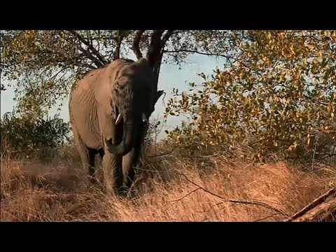 Too funny! Prrrrt or Toot?