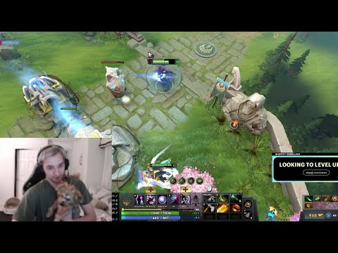 "You can play Spectre too, look it's Easy"- Arteezy to his Dog trolling NA dota