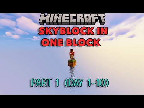 Insane SkyBlock Timelapse in Minecraft!