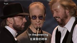 In the Morning (在清晨) / Bee Gees [中英歌詞] (4K 5.1聲道) (Live)