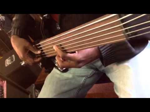 6 String Electric Ebony Fretless FingerBoard Bass Guitar image 11