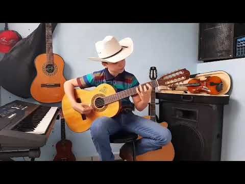 Distante Do Meu Sertão - Edinho Violeiro