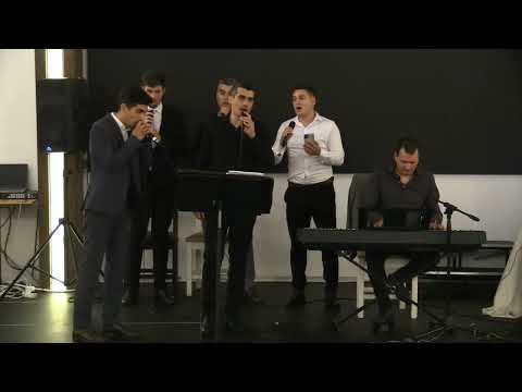 La apa de viata - Tulpan Brothers & Pianistul Azs