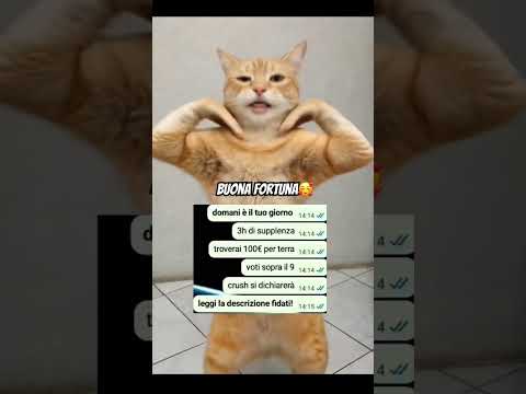 #rimani #segui #like #comm #cond ✨✨✨✨✨✨