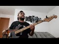 Animals Maroon 5 Bass Cover