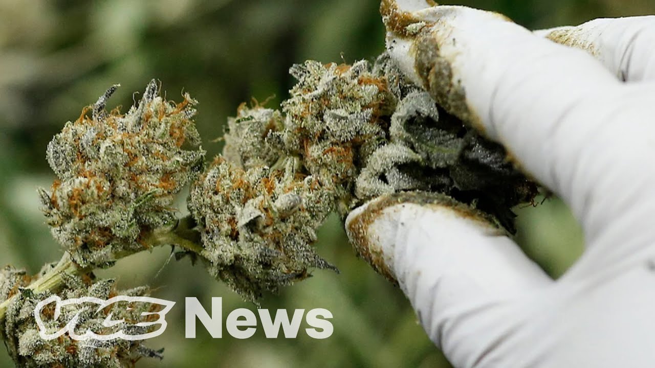 Delivery May Be the Answer to Weed Equity