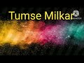 Tumse Milkar Na Jane Cover Instrumental