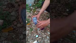 Download lagu batu anti racun mp3 Download lagu batu anti racun mp3