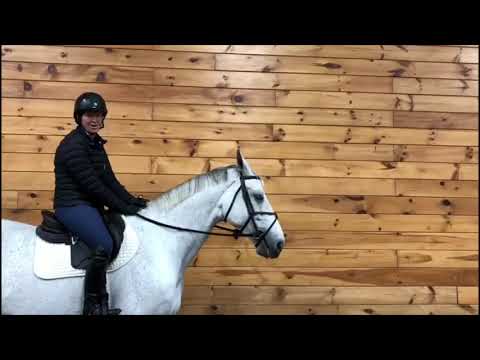 The Madden Method - Turn on the Haunches