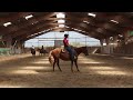 Yegua Quarter Horse En venta 2021 Alaz&aacute;n por AR ROCK STAR