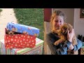 Christmas Puppy Surprise 2021 Kids Getting Puppy As A Christmas Present