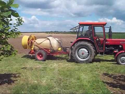 Zabiegi pielęgnacyjne w sadzie leszczynowym