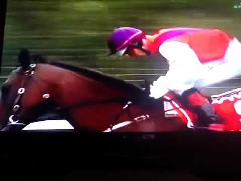 Noel callow benicio 2005 Victoria derby