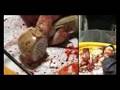 Pivot - In The Blood - Making Of