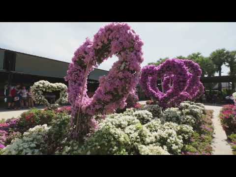 Dallas–Fort Worth Top Places 2025