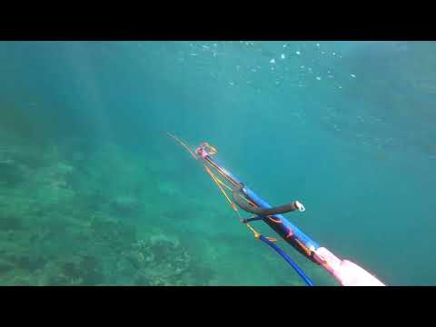 DIY 3D printed inverted rollerhead speargun