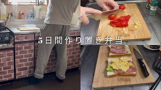平日作り置き弁当5日分