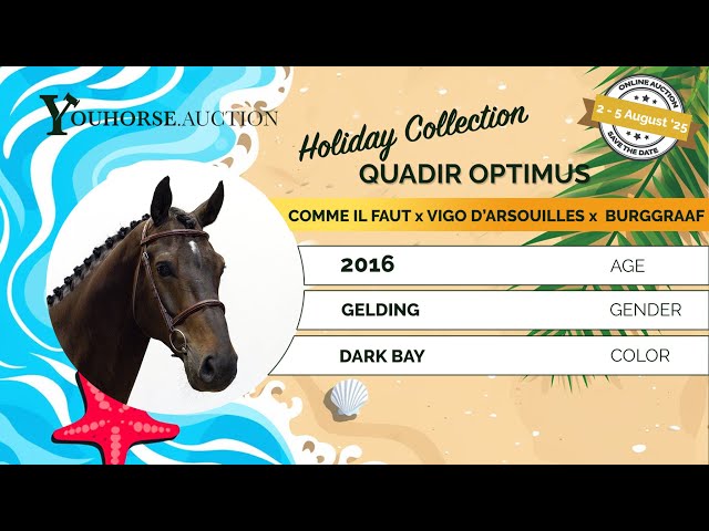 Quadir Optimus