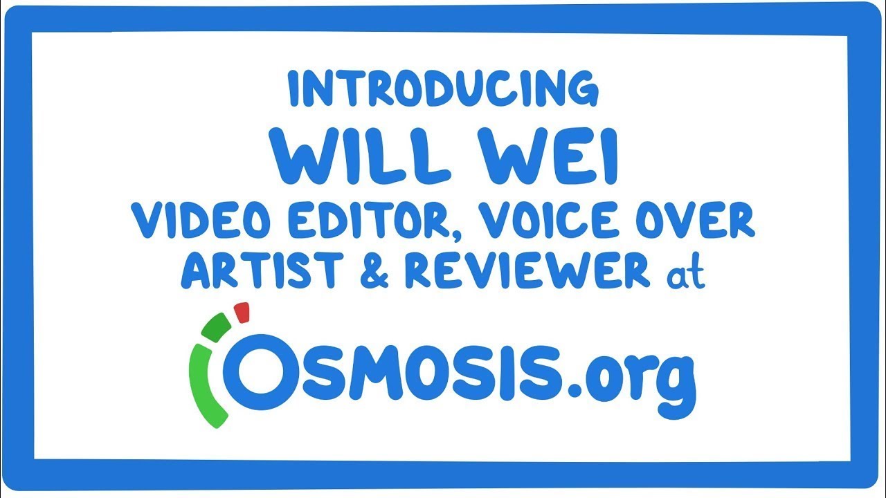 Meet the Team: Will Wei