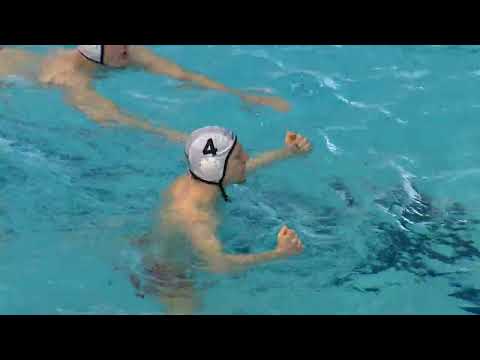 Videó előnézet
