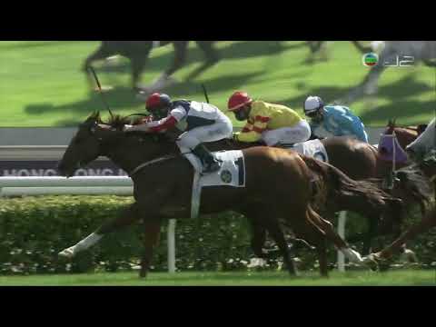 2021/22 (243) - Fast Most Furioud (百步穿雲) - 潘頓 (落班出擊對手大幅減弱負重仍然輕鬆取勝)