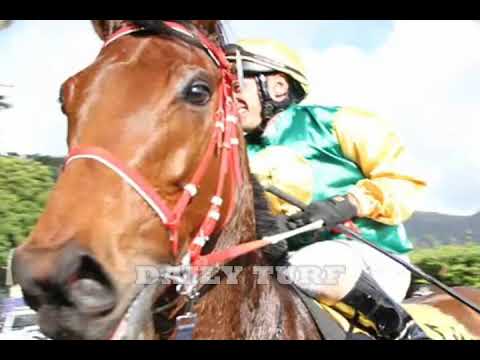 Disa leader star of mautitius