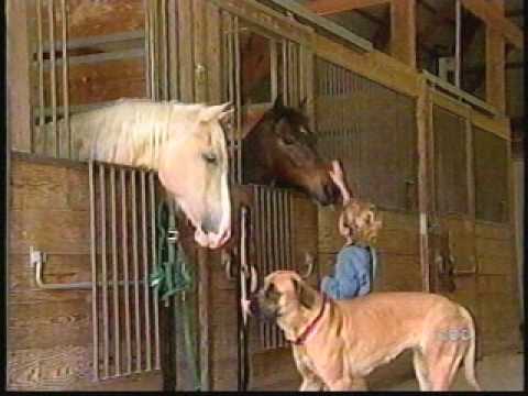 Sheri Gable Sisco video