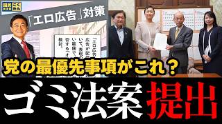 【迷走ｗ】玉木雄一郎率いる国民民主党、曖昧すぎる広告規制で若者支持を自ら破壊ｗｗｗ