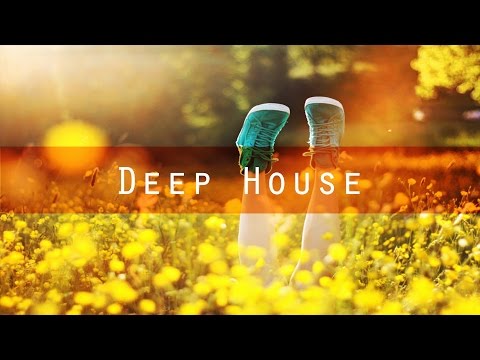 Disco Fries - Somebody Told Me ft. Chrissy Quadros [Deep House I Liftoff Recordings]