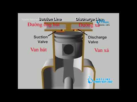 Cấu tạo và nguyên lý hoạt động của máy nén khí Piston