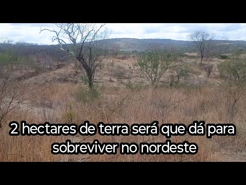 How much does it cost to buy 2 hectares of land in the Northeast?