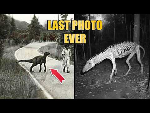 7 Last Photos of Extinct Animals Ever Taken | part 2