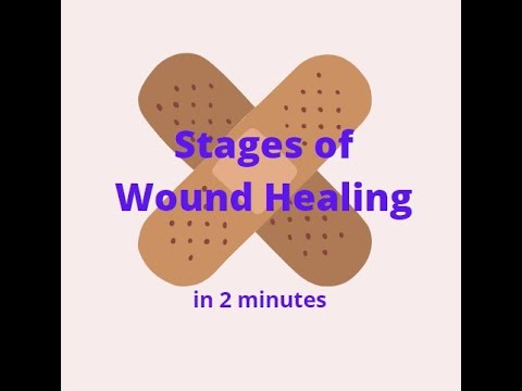 Stages of Wound Healing in 2 mins!