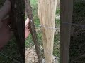 Building Barb wire fence #smallfarm #farm #cow
