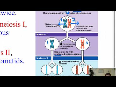 AP_IB Bio - Unit-09 - M&M - Slides 113-122