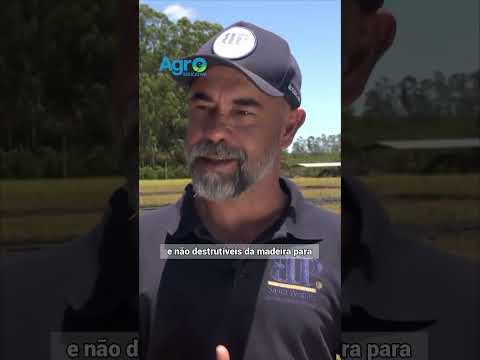 A primeira fazenda carbono neutro do Brasil existe! Veja!
