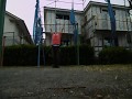 Reverse grip The G.O.D. Set-153 Reps (22 Muscle ups/120 Dips/11 Chin ups)