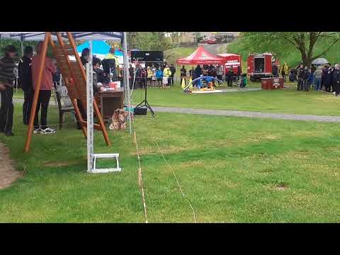 SDH Nahořany MUŽI A Podorlická hasičská liga + Velká cena OSH Náchod Nahořany 13 5 2023  1 pokus