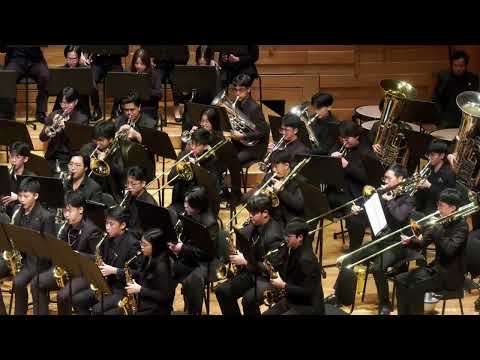 Sailing with Whales - Rossano Galante