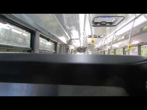 Bus Queensland Park Ridge Scania K310UB (#008, Custom Endeavour, ZF EcoLife): 534 east