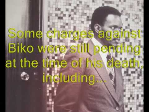 Biko (Robert Wyatt version)