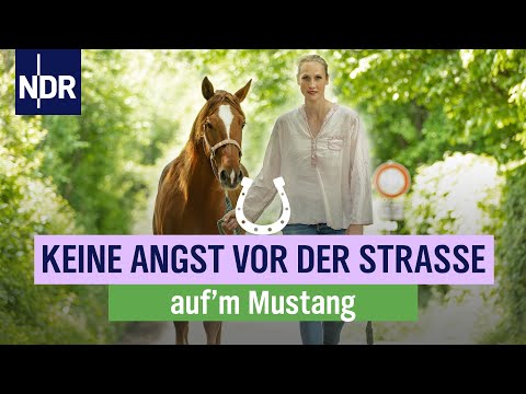 Keine Angst vor der Dorfstraße! Die Mustangs lernen den Alltag kennen | Folge 12 | NDR auf'm Land