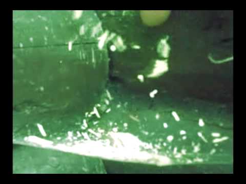 Ambient Theatre - Mášenka