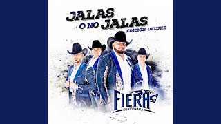 Cover art for No paro de hacerme feliz