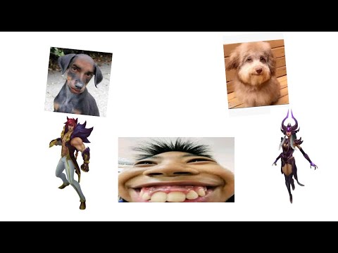 sett jung and syndra mid type sht